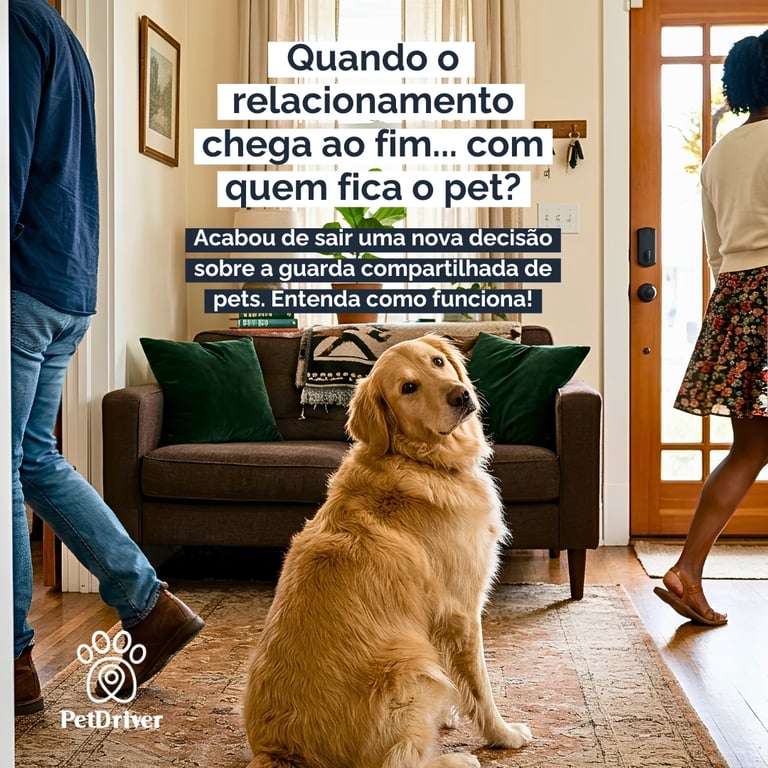 Se o pet é filho, como fica depois da separação?