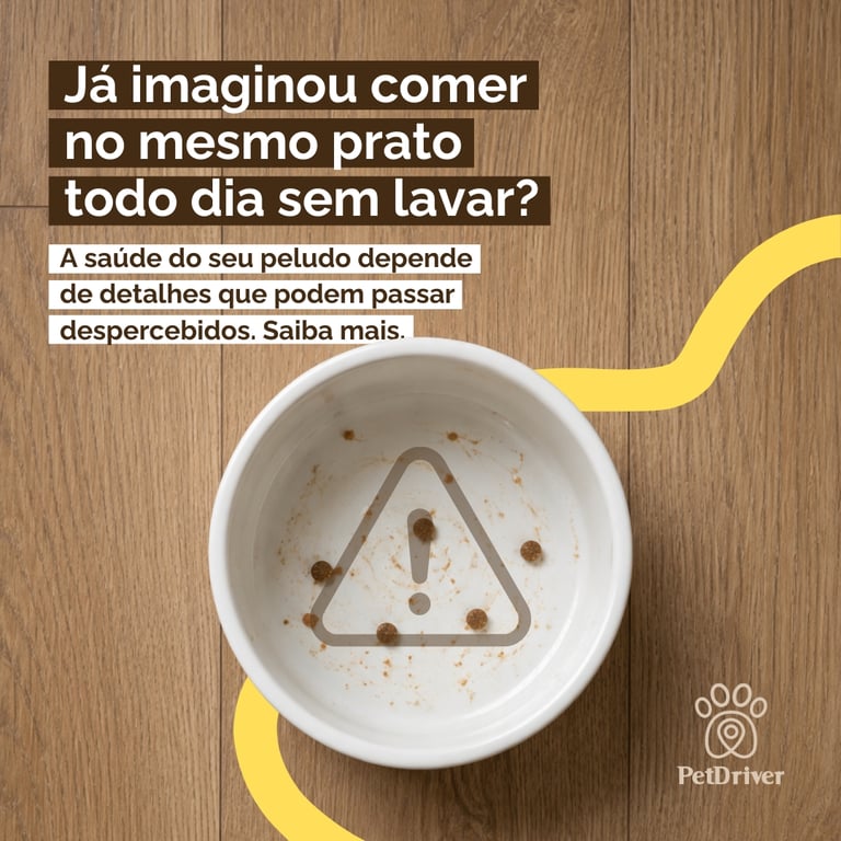 Um detalhe na tigela e seu pet pode estar em perigo!