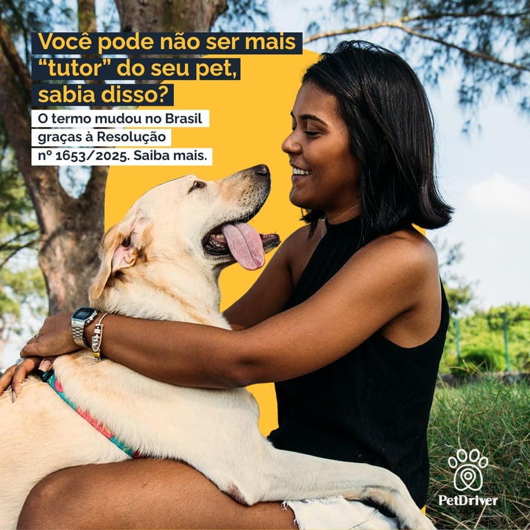 Você ainda fala "tutor de pet"? O termo pode mudar.