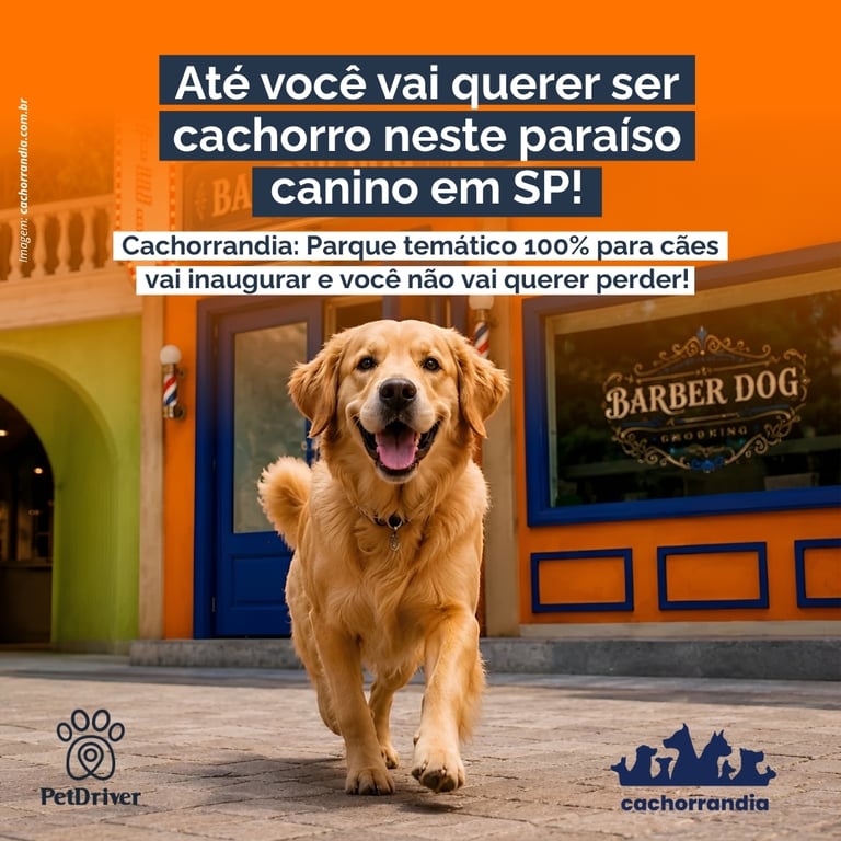 Tudo o que você precisa saber sobre a nova Cachorrândia