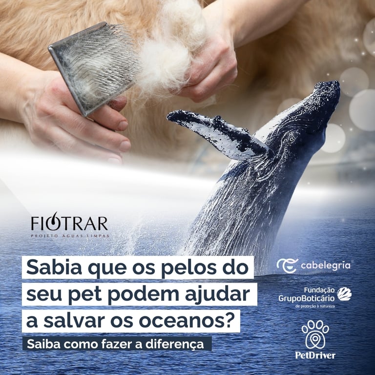 Não jogue mais os pelos do seu pet no lixo!