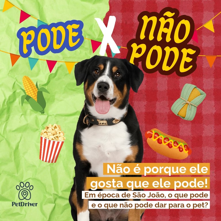 O que pets podem e não podem comer nas festas juninas!