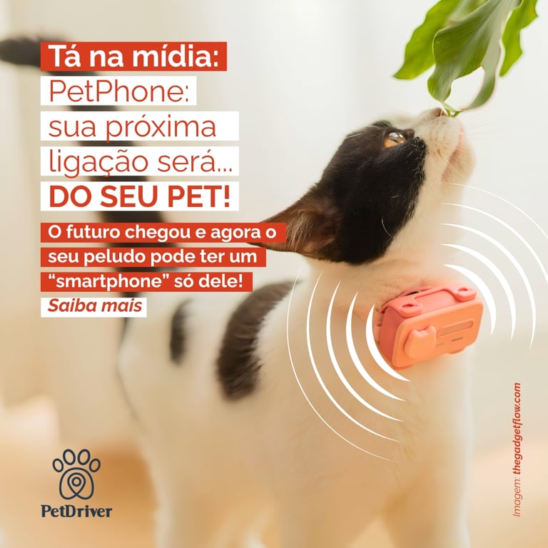 PetPhone: O futuro chegou e o seu pet quer te dar um “alô”!