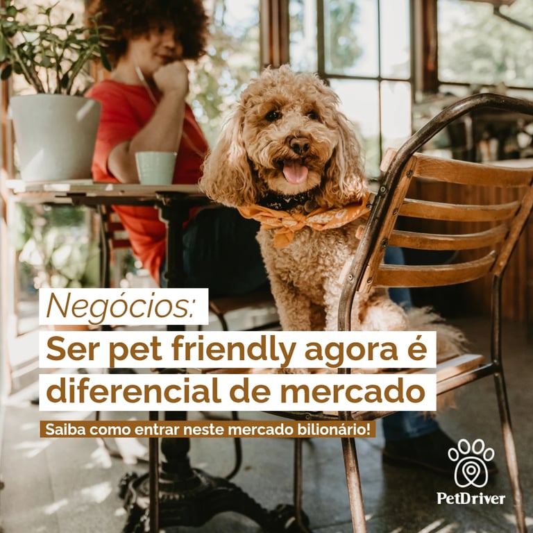 Quando o “pet friendly" vira estratégia!