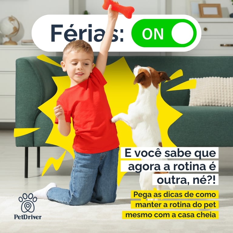 Como manter a rotina do pet mesmo com a casa cheia