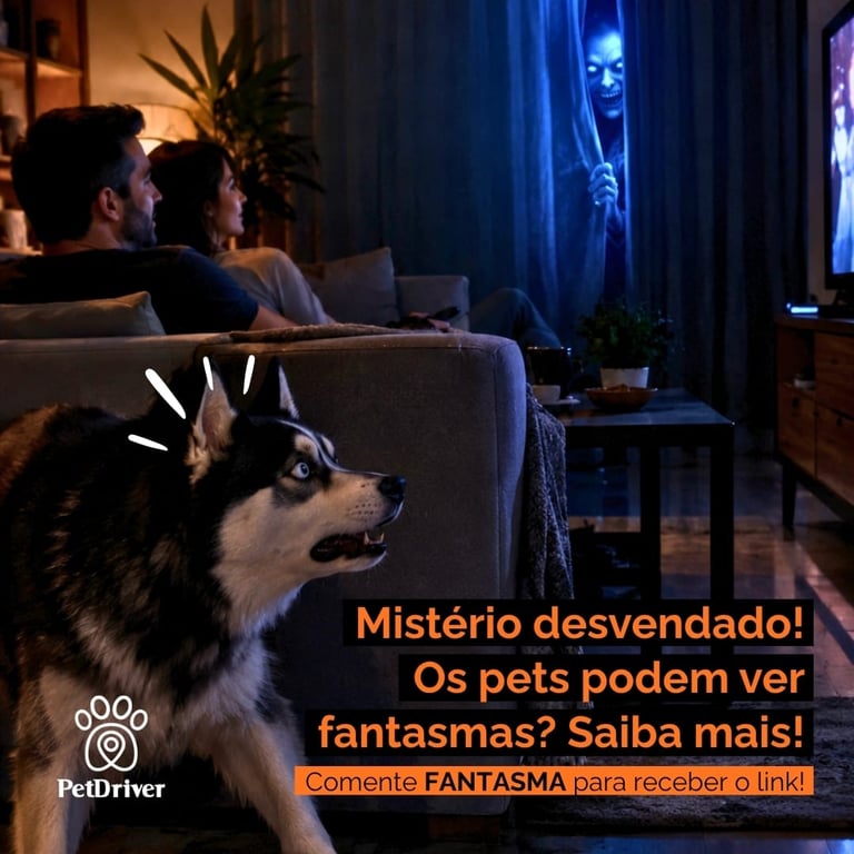 Afinal, os pets vêem fantasmas?