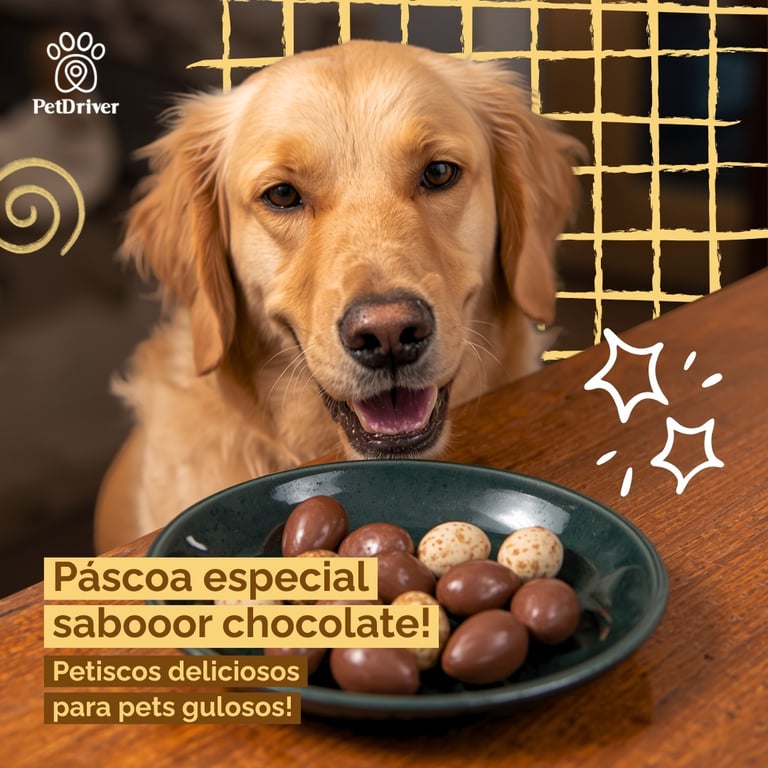 Páscoa sabor chocolate: petiscos deliciosos para pets gulosos!