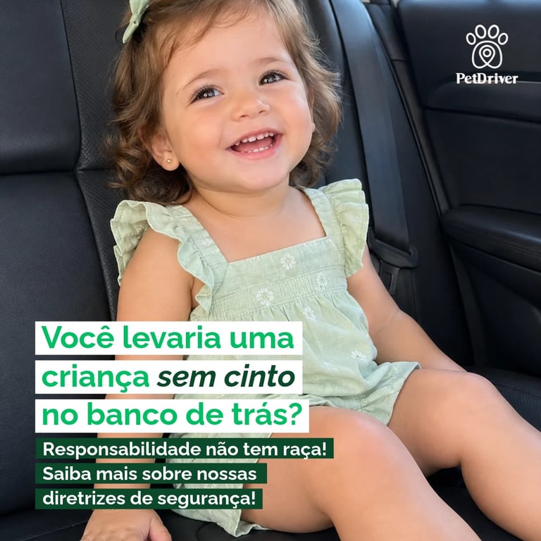 Cinto de segurança: a proteção que todo passageiro merece!