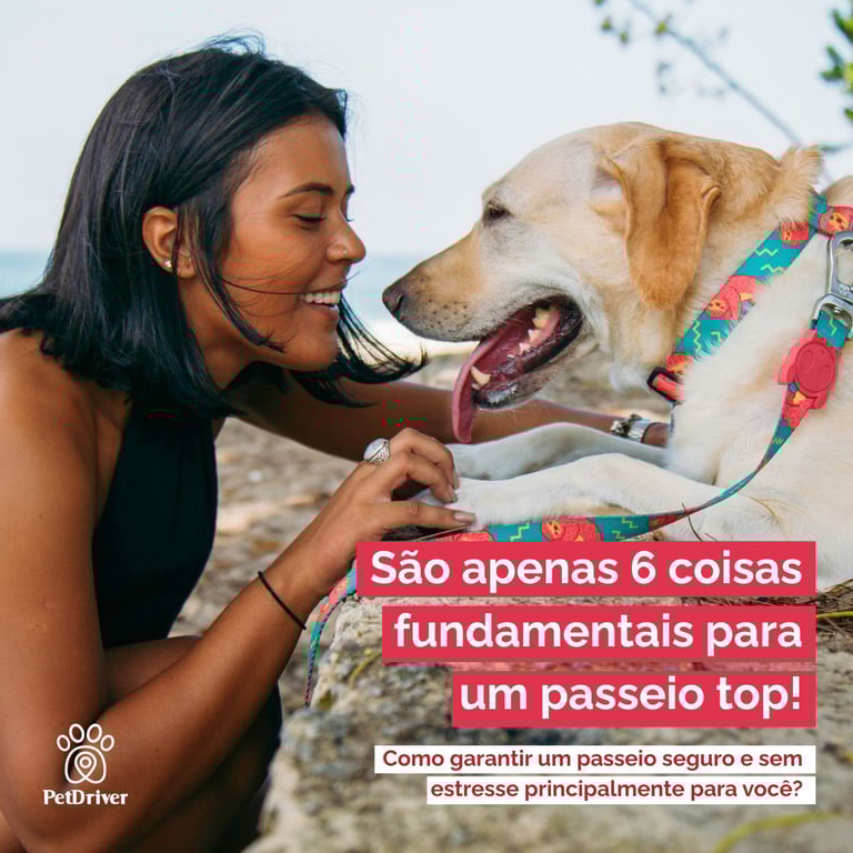 Checklist para passeios práticos!