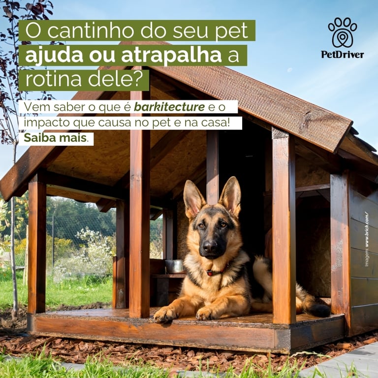 Barkitecture: Arquitetura pet friendly