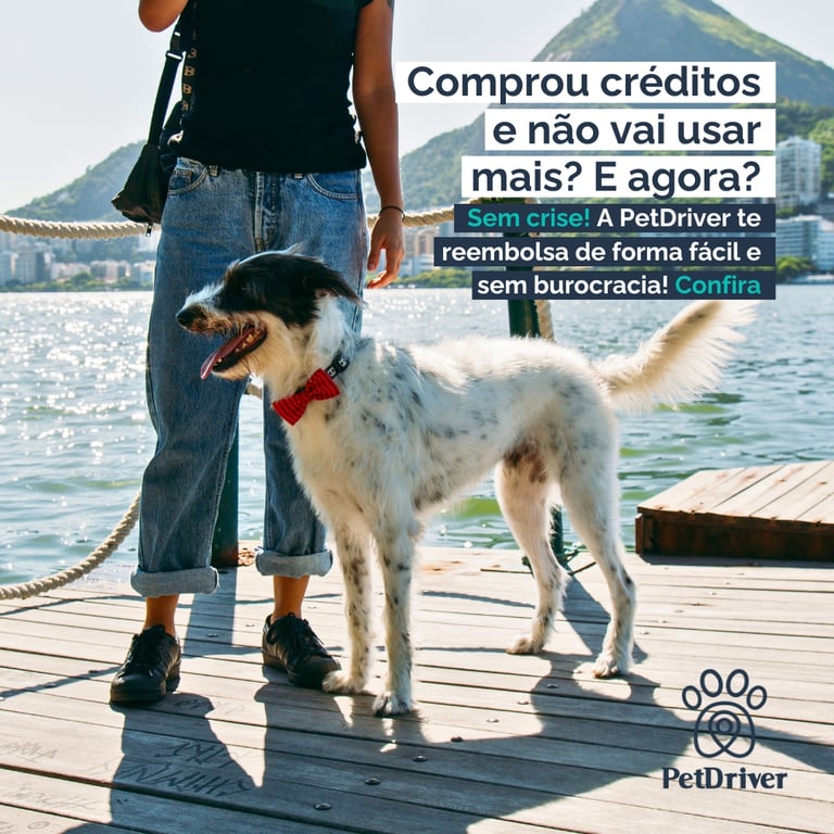 Comprou créditos e não vai usar mais? E agora?