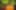 Decoration image without any essential information