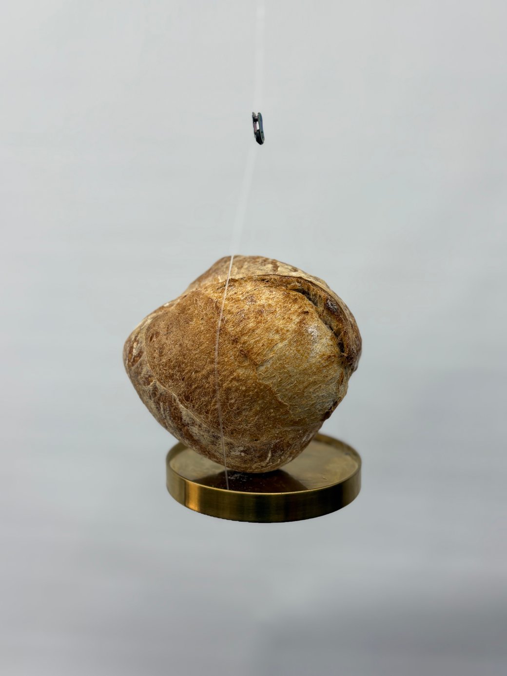 Whole Sourdough Bread