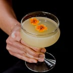 daisy age 🌼 which is your fav azhartoronto cocktail or drink? let us know below 👇