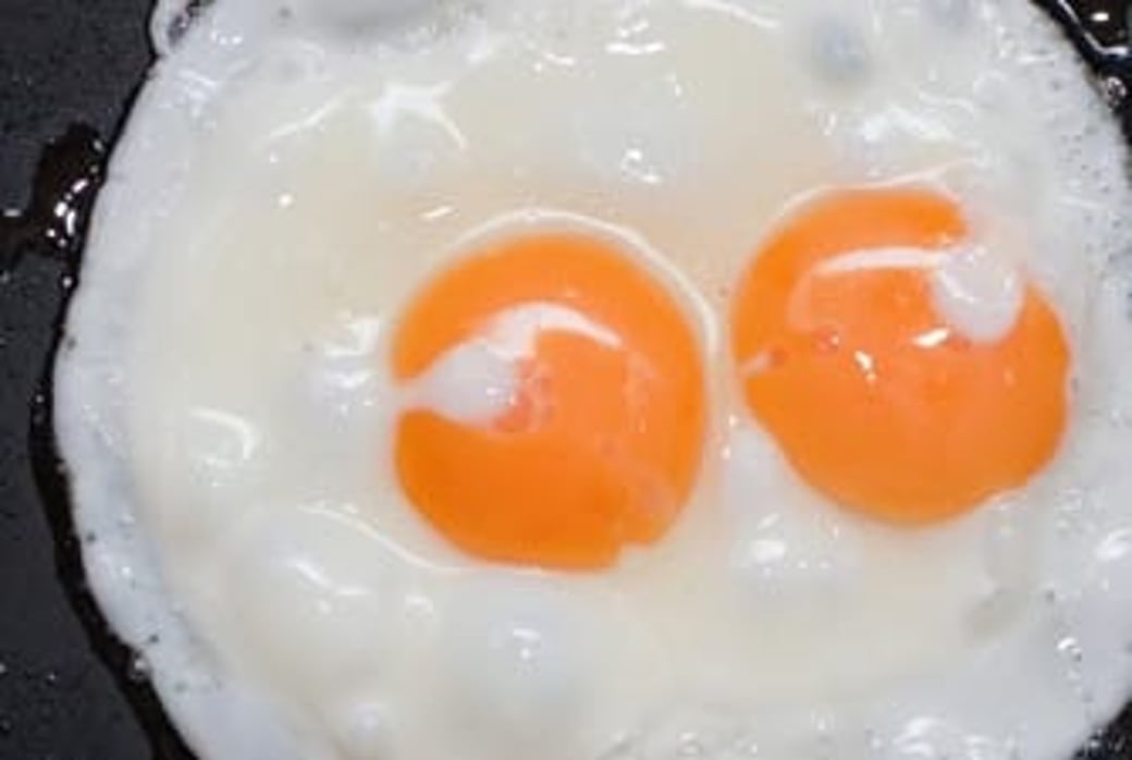  Egg #1
