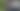 blurred background image