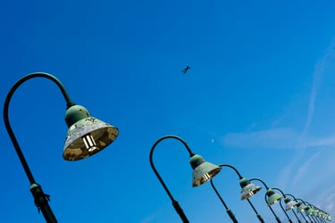 'Light and Flight' by Christopher Lucka , shop product