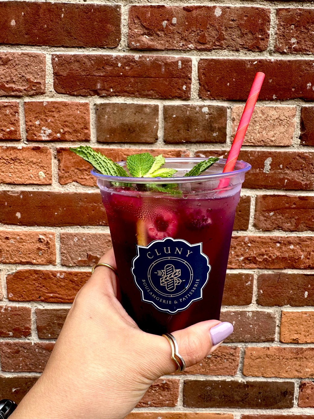 Raspberry & Pomegranate Italian Soda