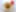 Decoration image without any essential information