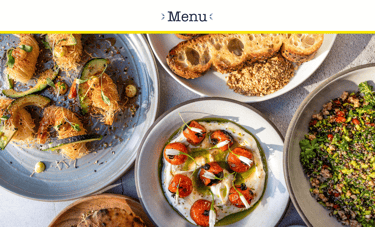 Website gallery image