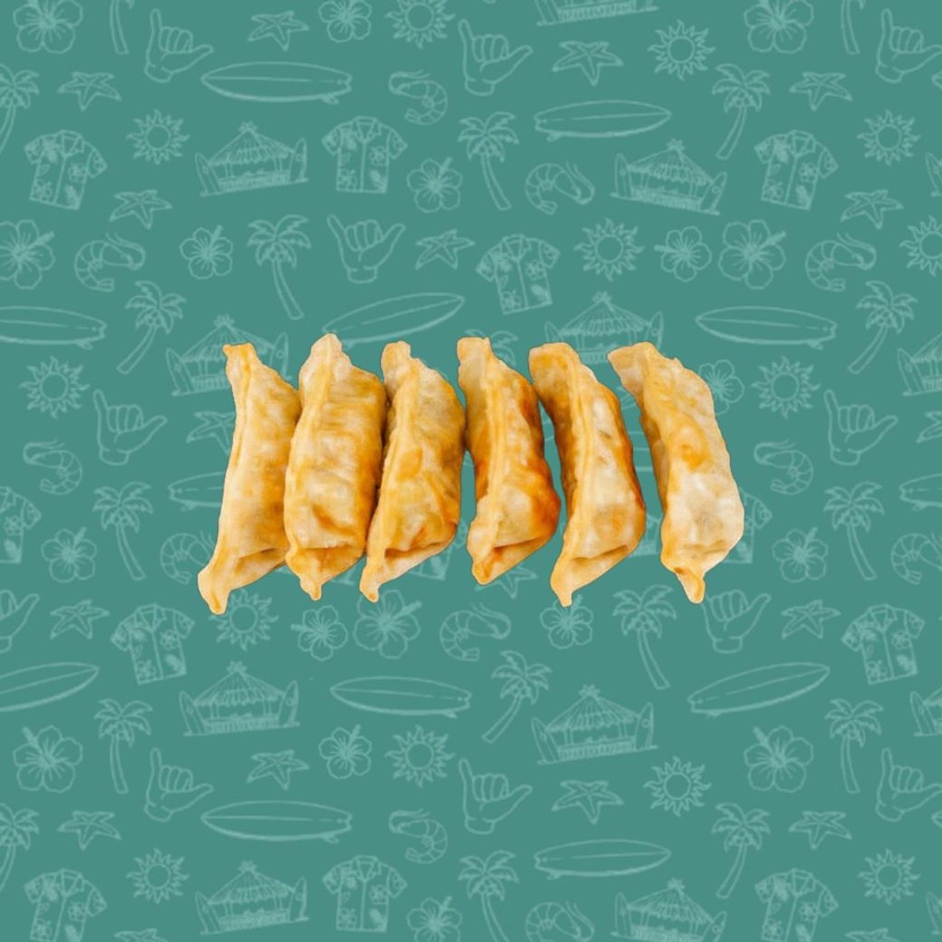 Gyoza au poulet(6)