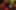 Decoration image without any essential information