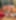Decoration image without any essential information