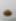 Cheese Kroissant