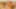 Website gallery image