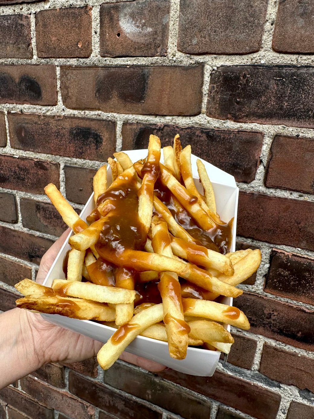 Fries n' Gravy