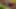 Decoration image without any essential information