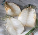 Shrimp 6 to 8 per pound Colossal Size  , shop product