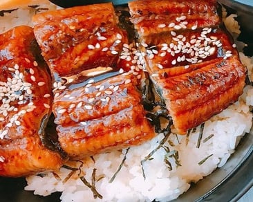 Unagi Eel Don (12pcs)