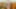 Website gallery image