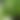 blurred background image