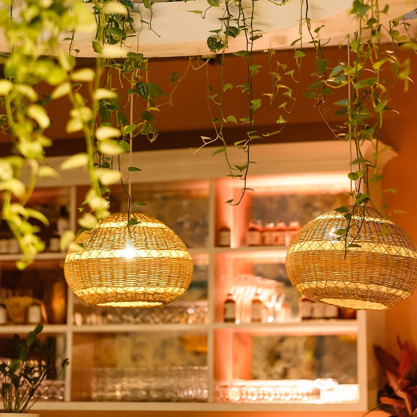 Decoration image without any essential information