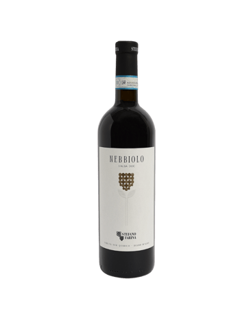 Stefano Farina Nebbiolo D'Alba 