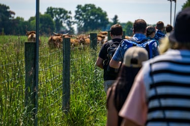 Everything Down To The Napkins