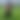 blurred background image