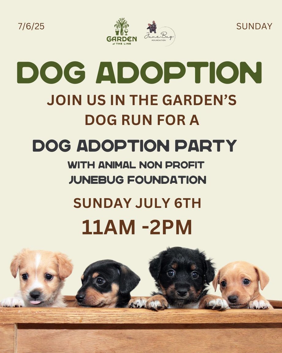 Junebug Adoption Event