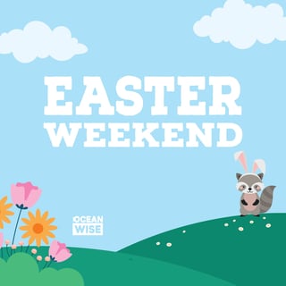Easter Weekend (Friday, March 29th -Monday, April 1st! )