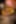 Decoration image without any essential information