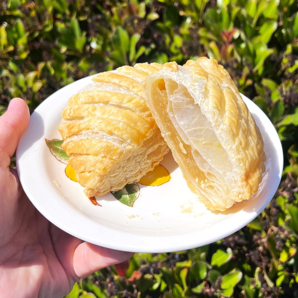 Apple Turnover