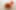 Decoration image without any essential information