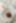 Decoration image without any essential information
