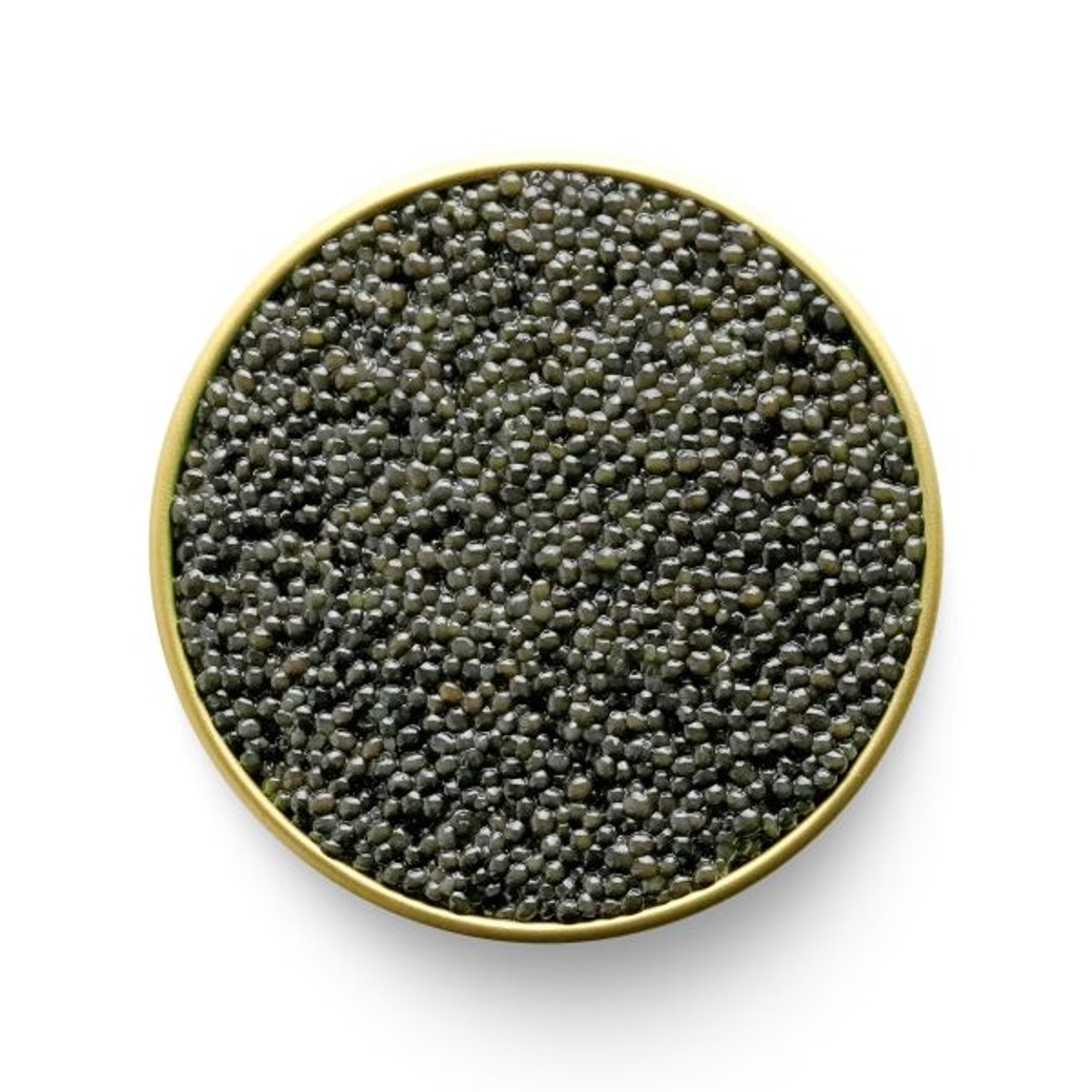 Caviar