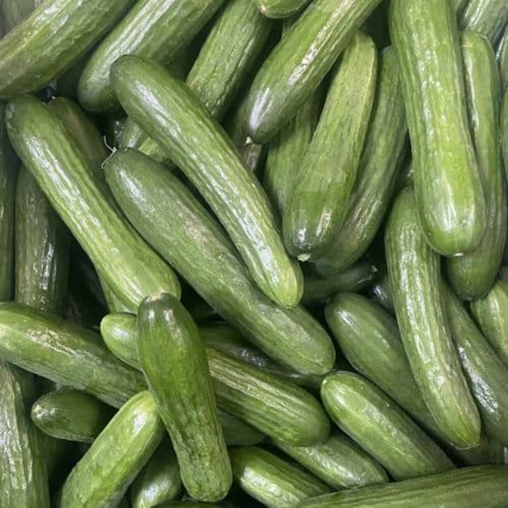 Organic Cucumber