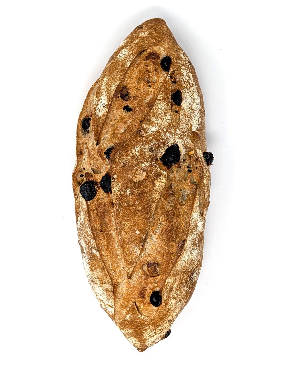 Fig