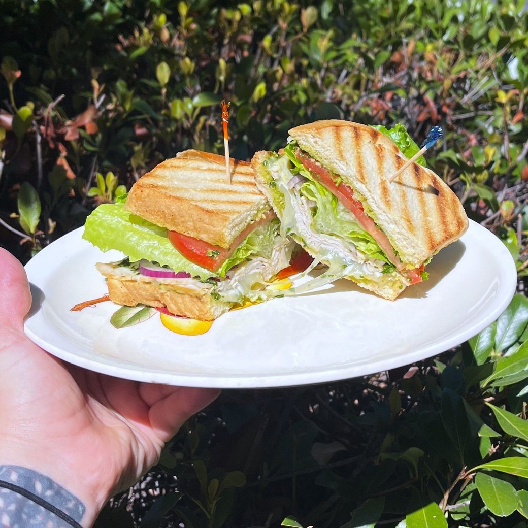 Turkey Chimichurri Panini