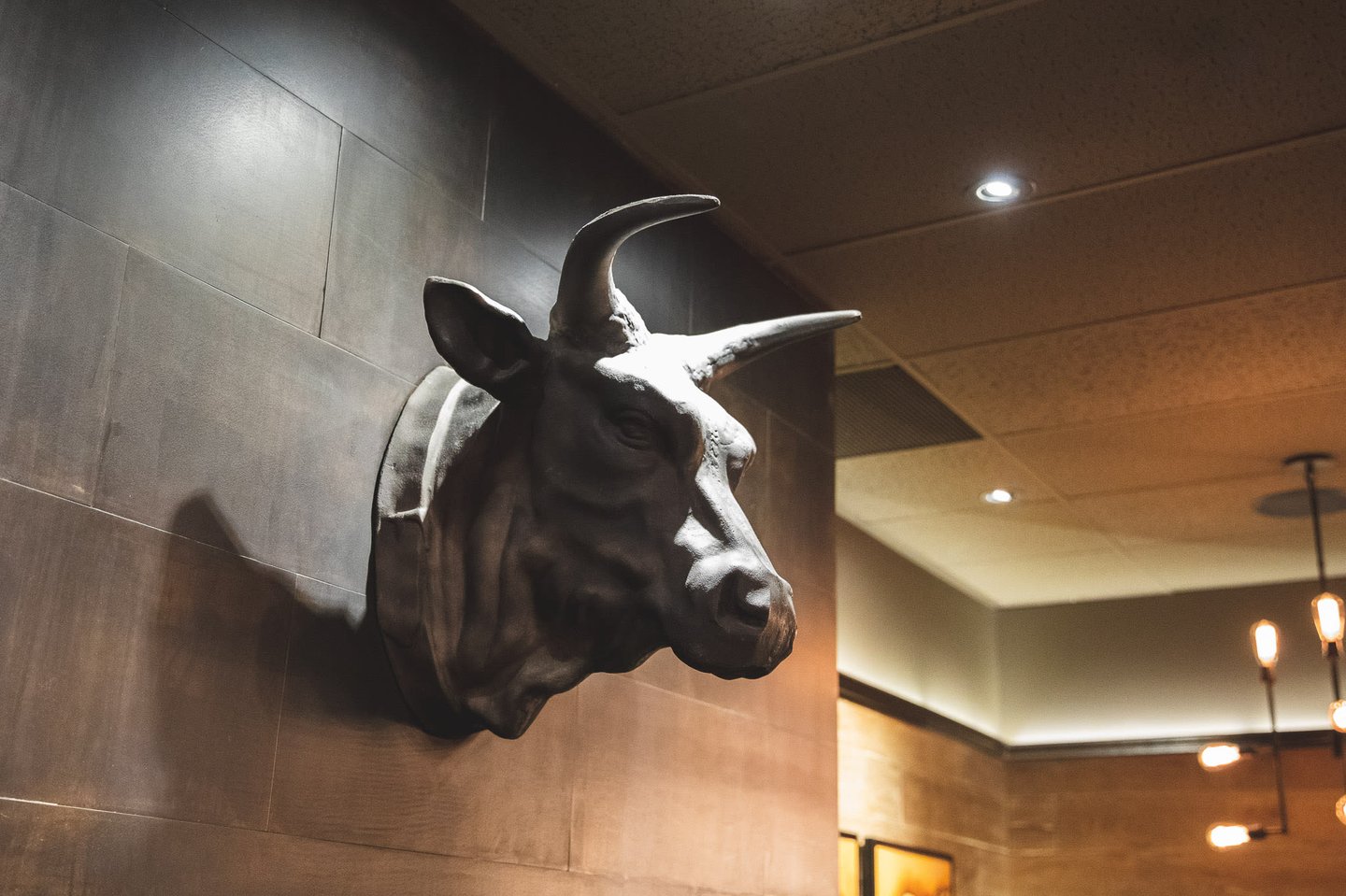 The Charcoal Experience